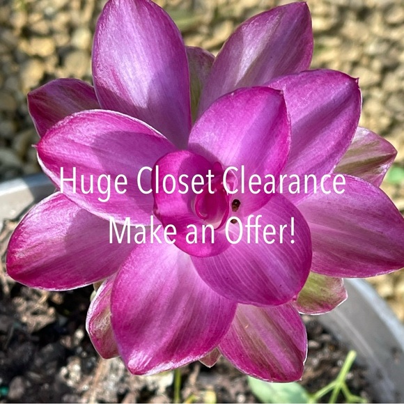 I Love ❤️ Offers!! Posh Ambassador II / 5 Star ⭐️⭐️⭐️⭐️⭐️ Seller - Picture 12 of 13